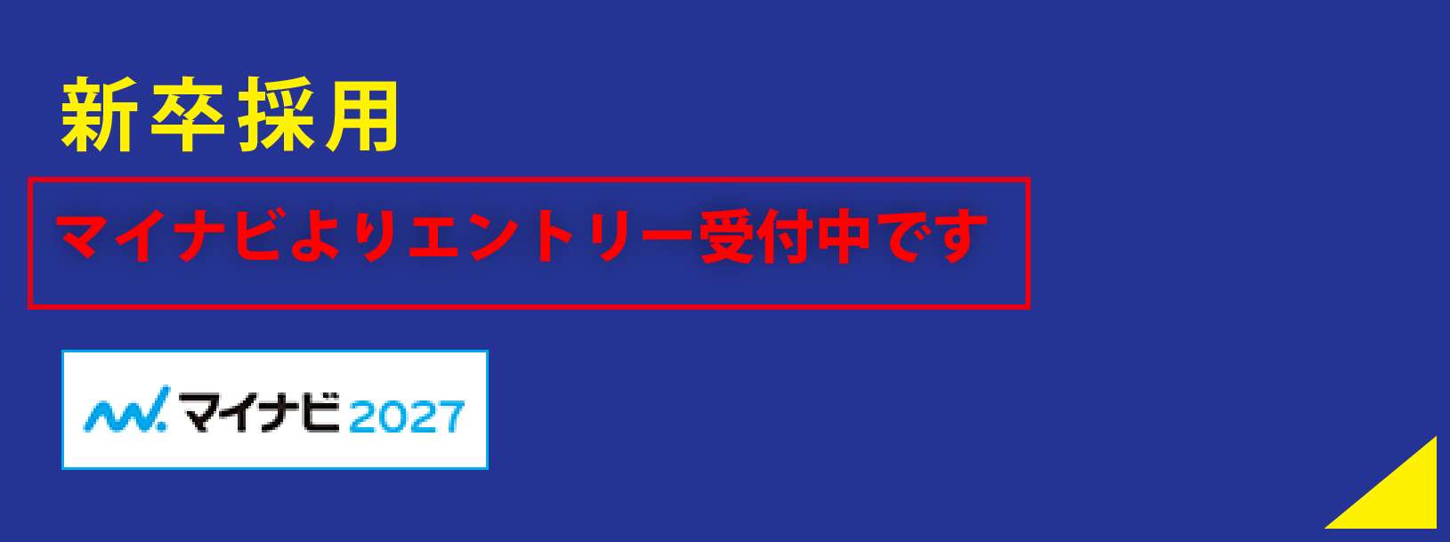 新卒採用　マイナビよりエントリー受付中です